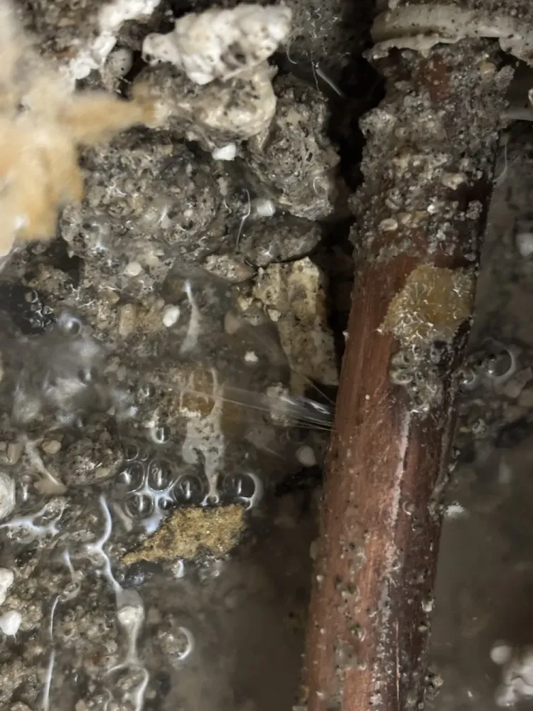 fuite cuivre cagnes sur mer