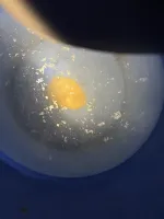 Dépannage Nice.jpg