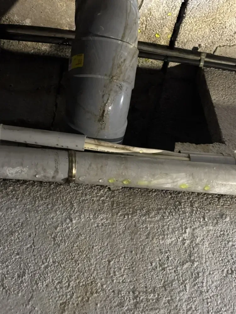 Recherche de fuite dans un immeuble de la Promenade des Anglais à Nice : utilisation de la fluorescéine